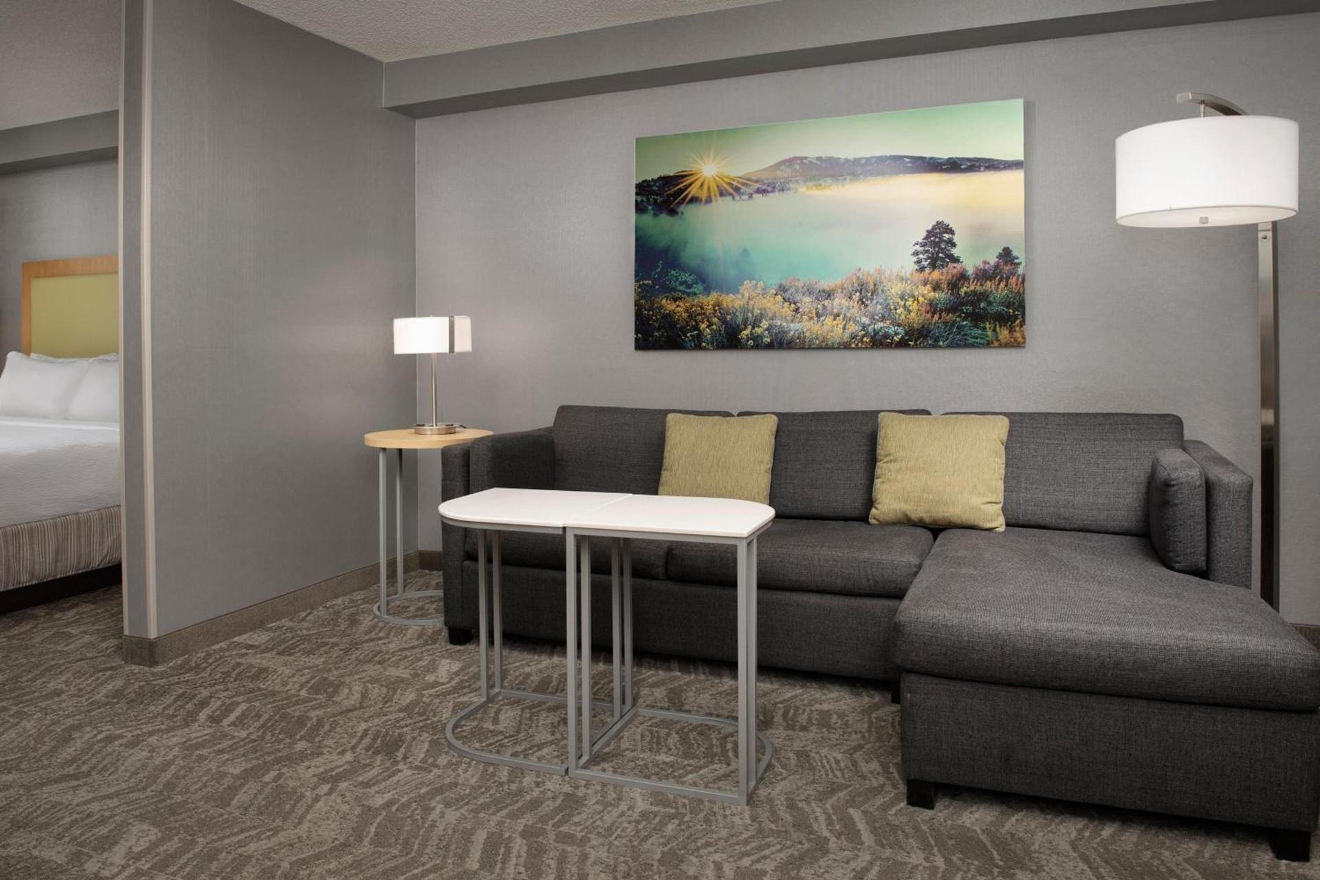 SpringHill Suites by Marriott Boise ParkCenter photo 10