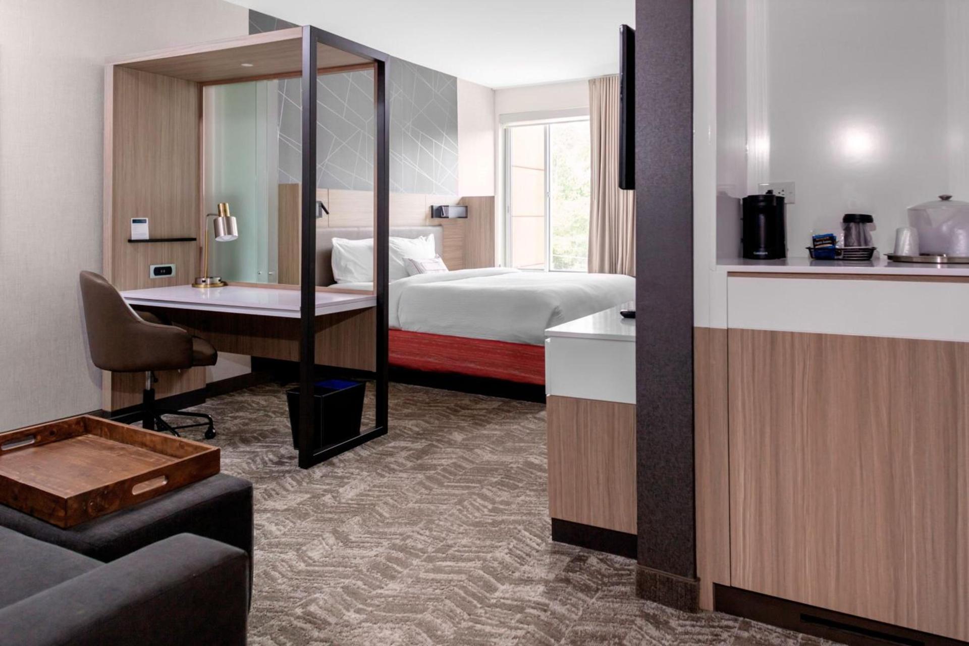 SpringHill Suites by Marriott Suwanee Johns Creek photo 6