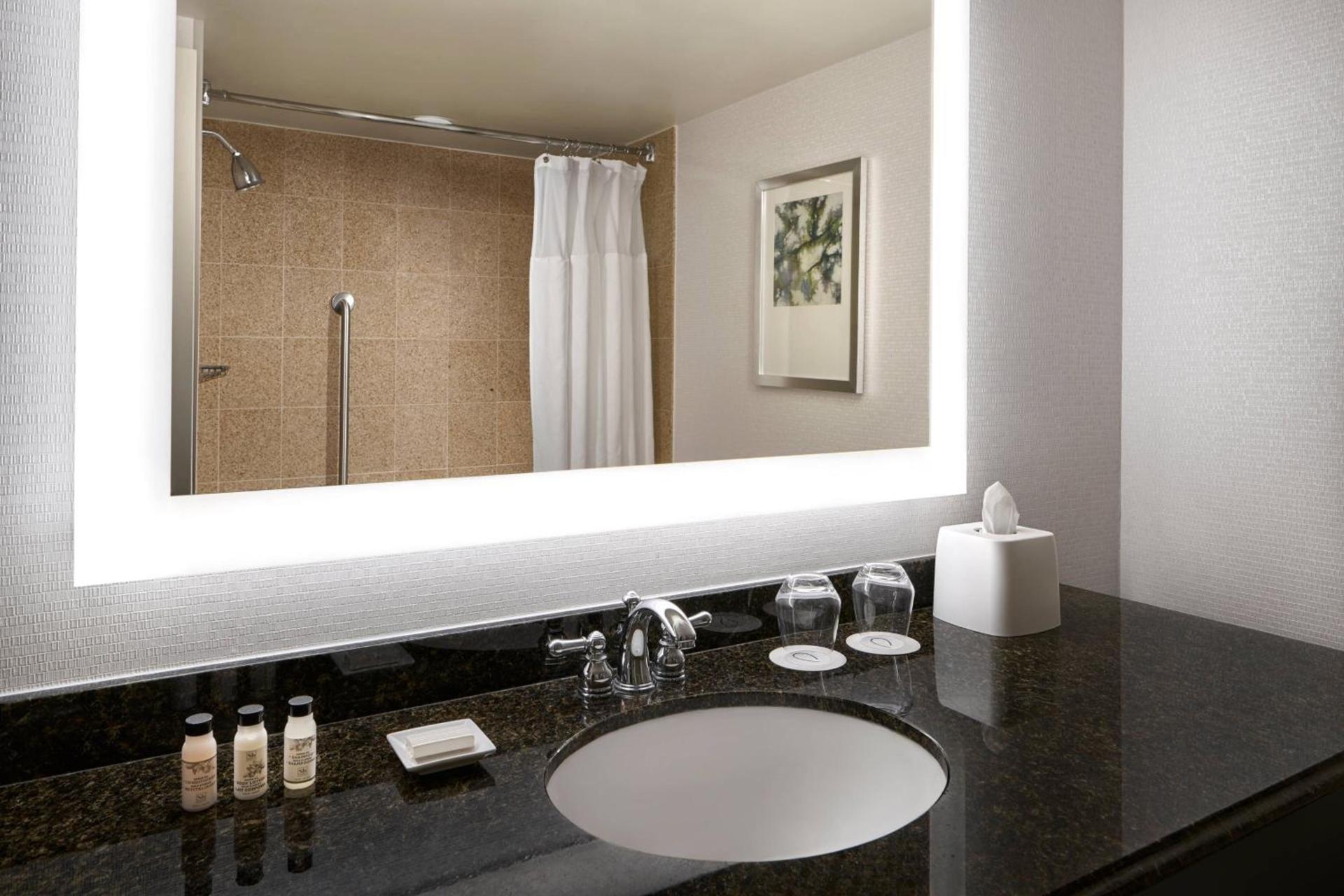 Delta Hotels by Marriott Chesapeake Norfolk photo 8