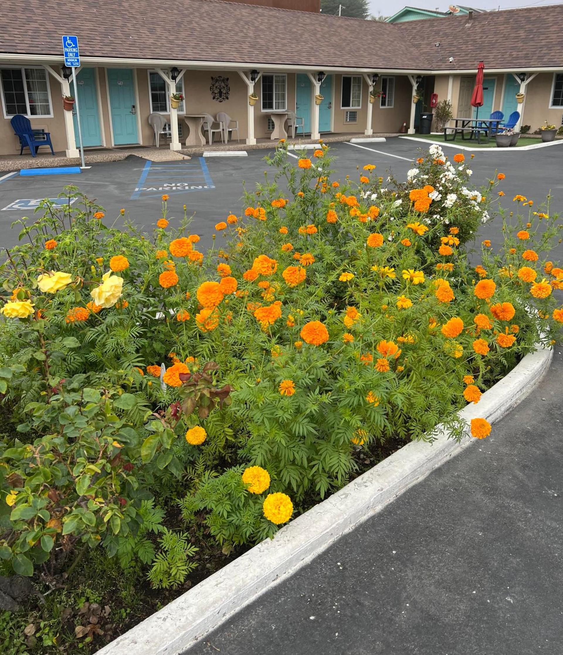 Central Coast Inn photo 2