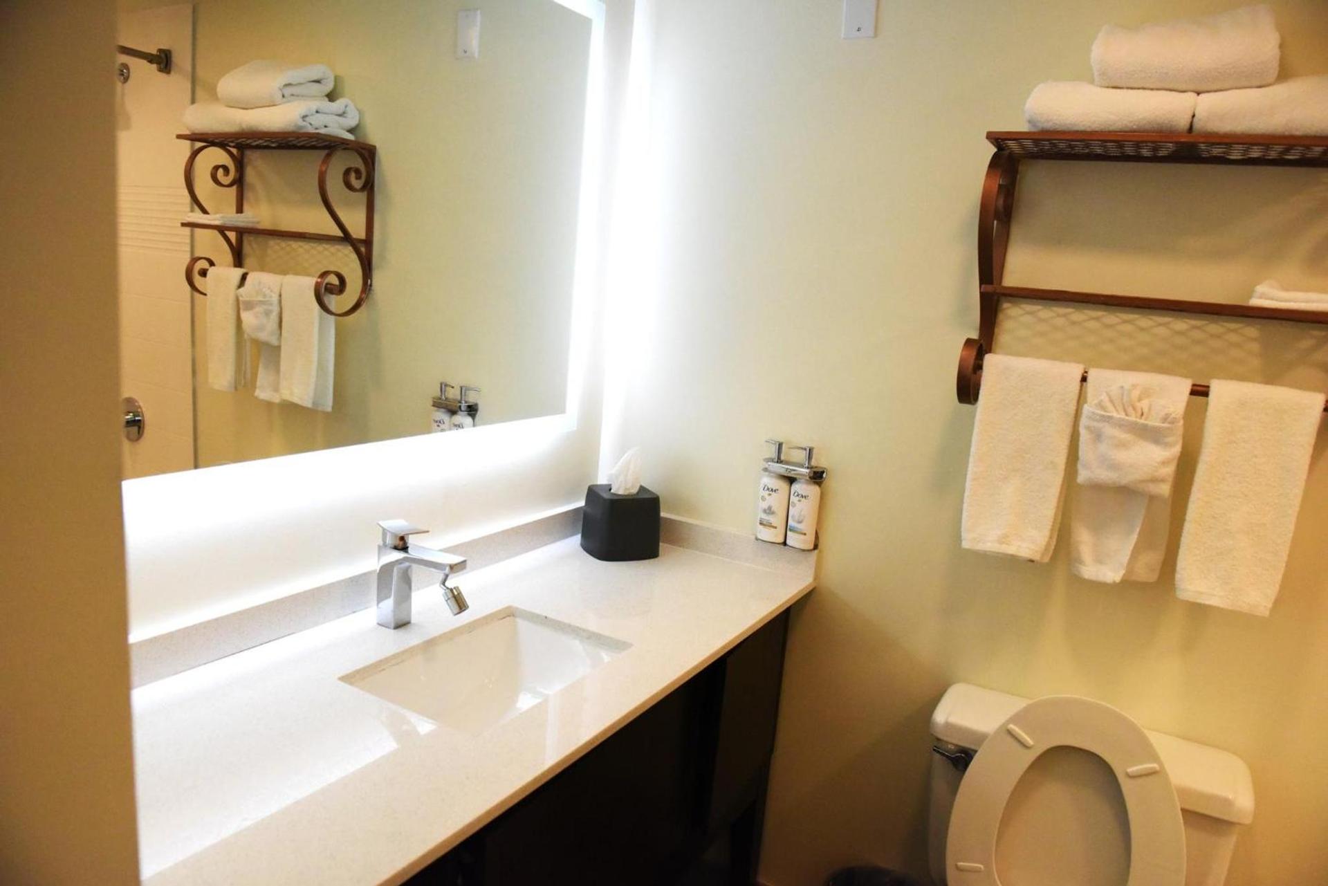 Holiday Inn - Piscataway - Somerset by IHG photo 31
