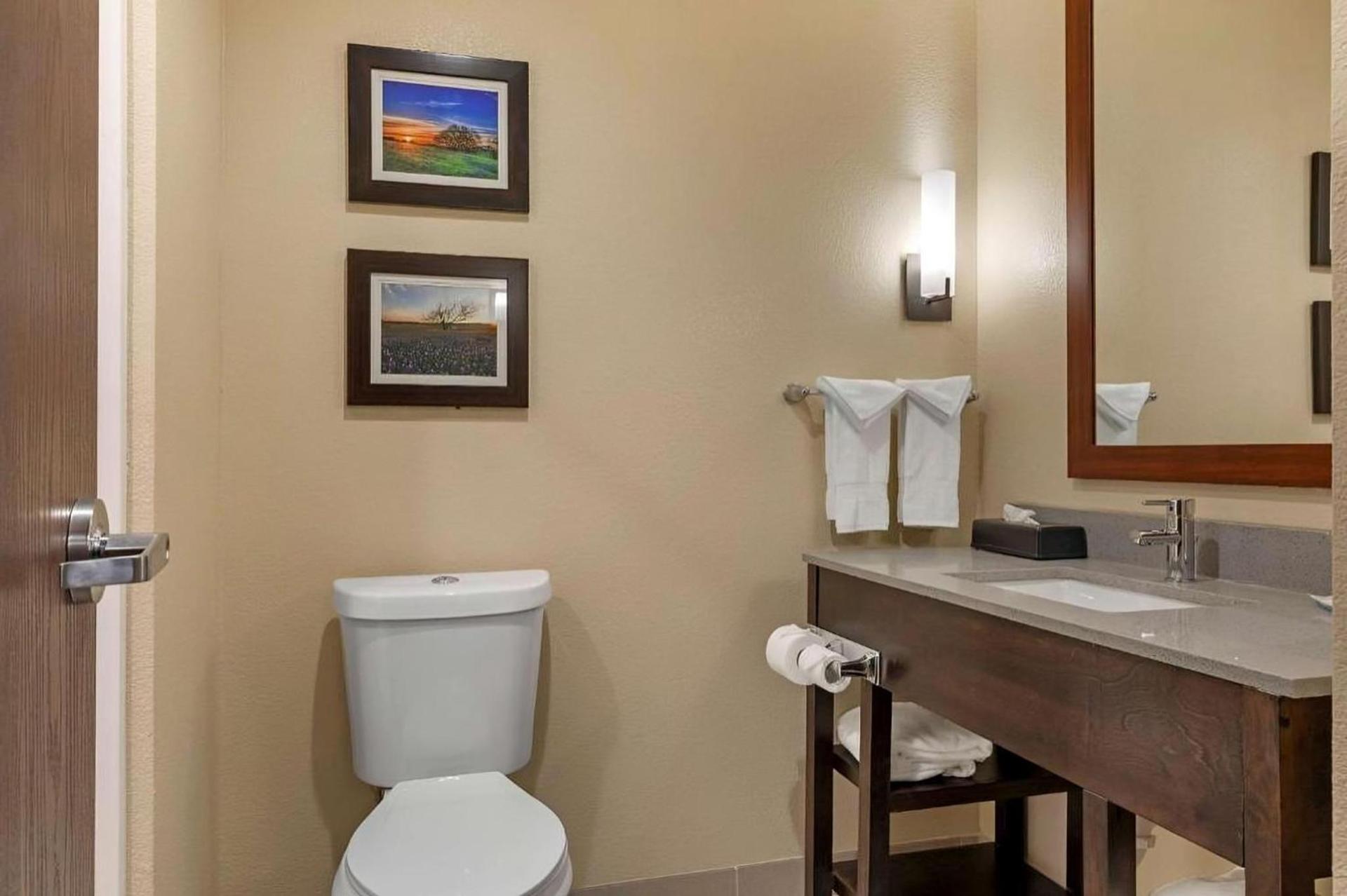 Comfort Inn & Suites Euless DFW West photo 32