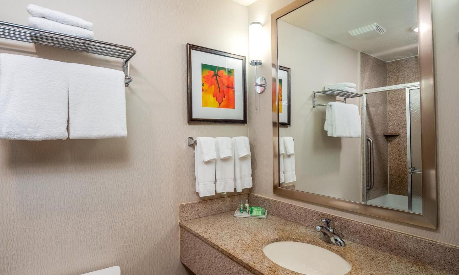 Holiday Inn Stevens Point - Convention Center by IHG photo 33