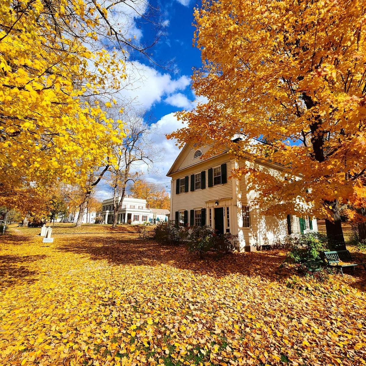 Arlington Inn & Spa photo 82