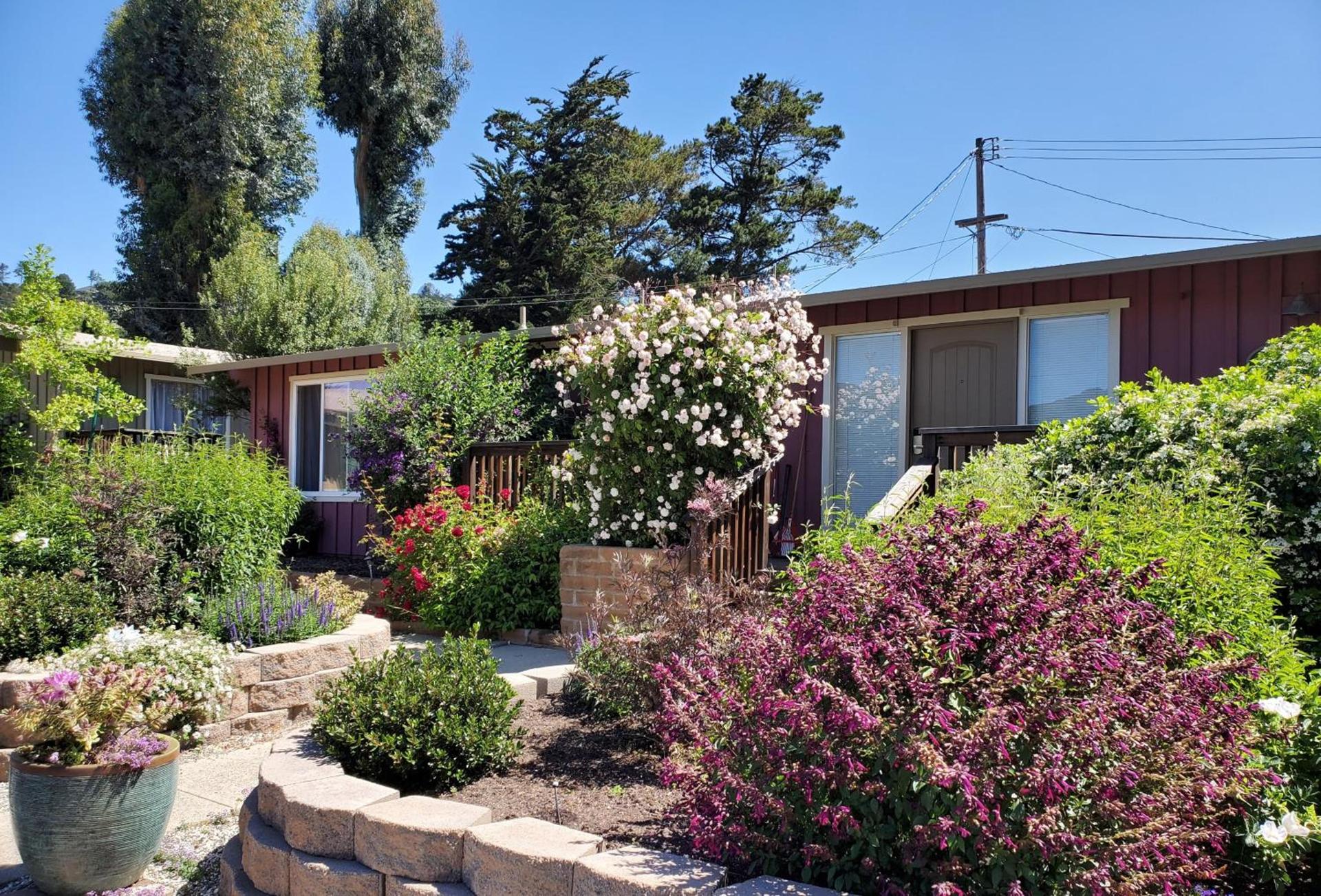 Carmel Valley Lodge photo 46