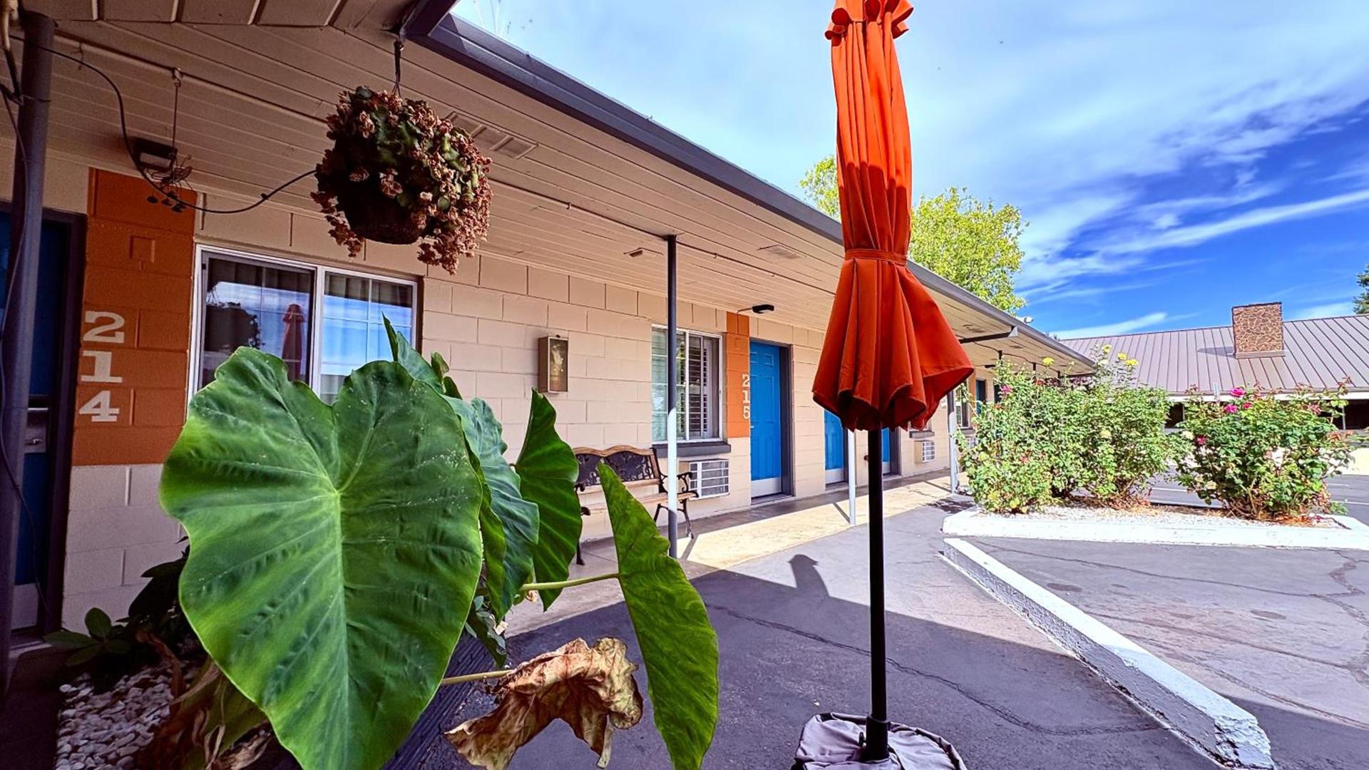 The City Center Motel photo 35