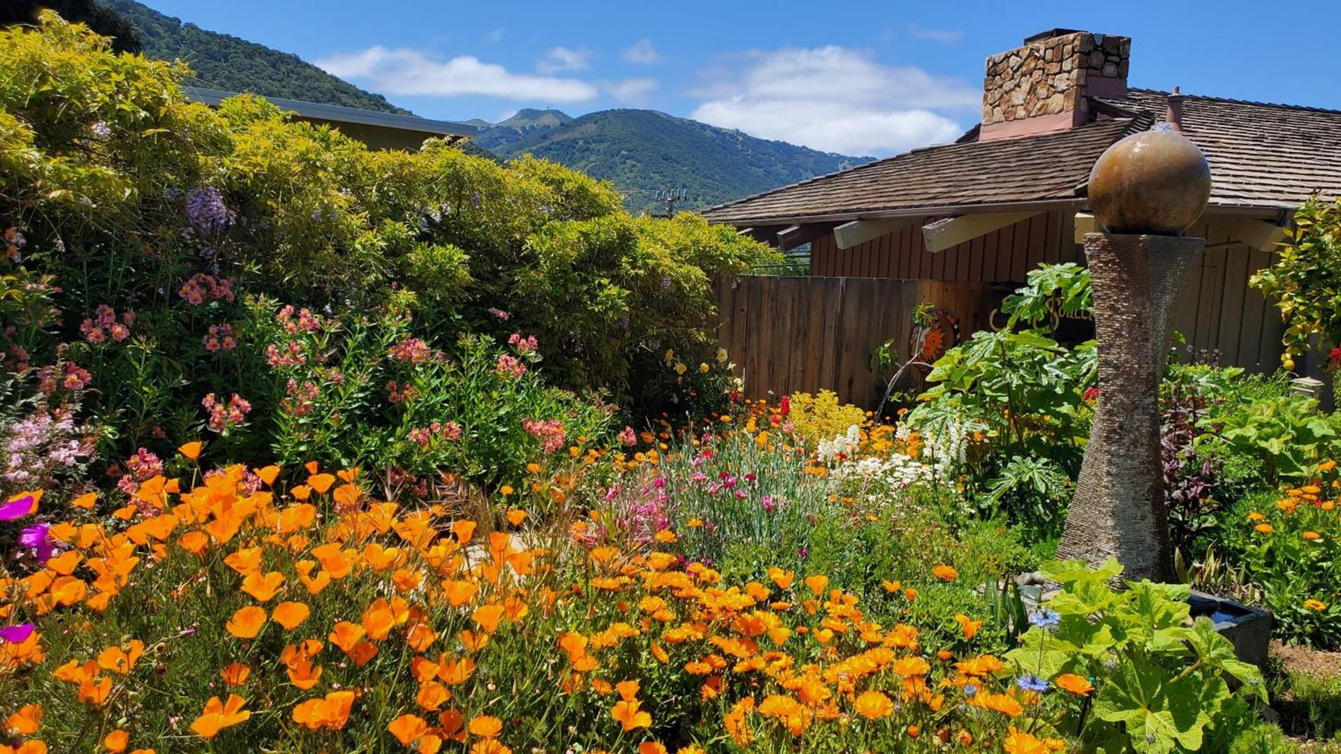 Carmel Valley Lodge photo 50