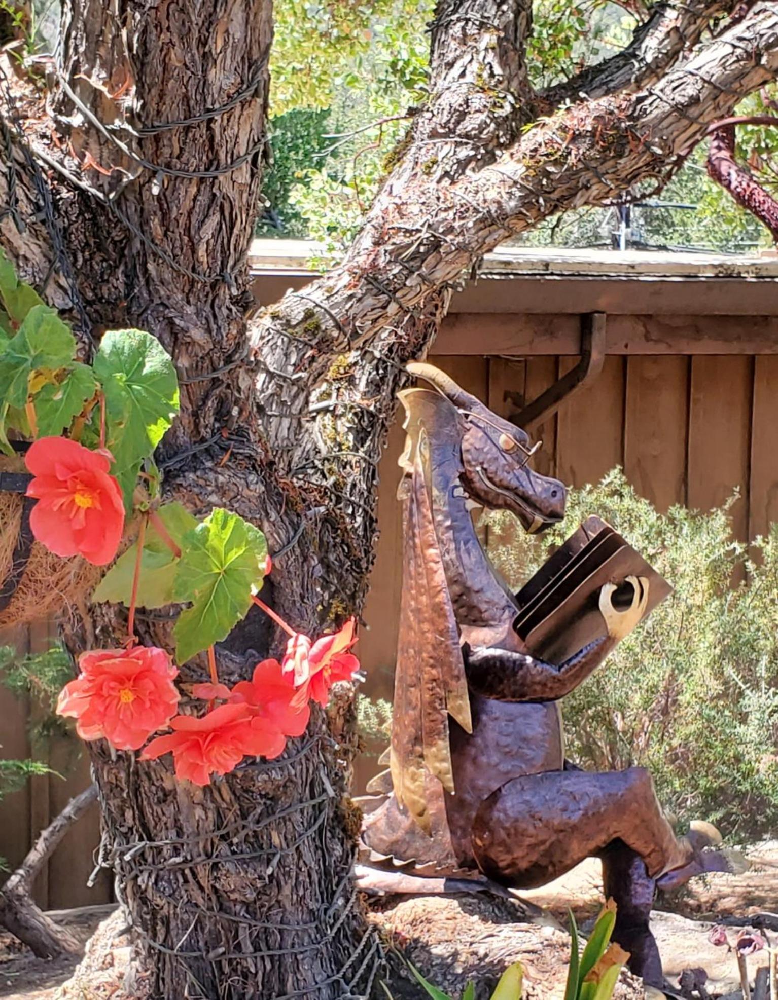 Carmel Valley Lodge photo 52