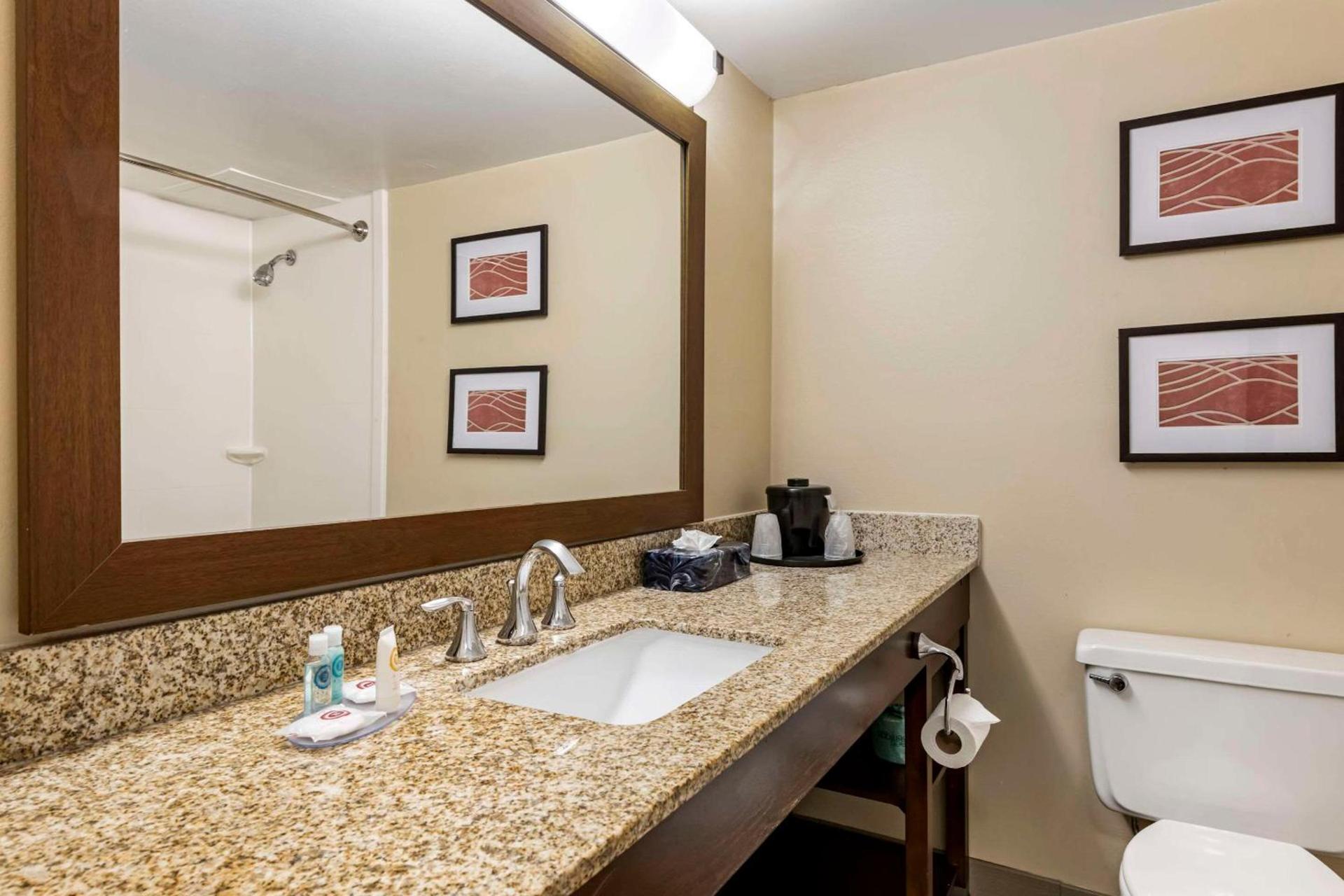 Comfort Inn MSP Airport - Mall of America photo 15