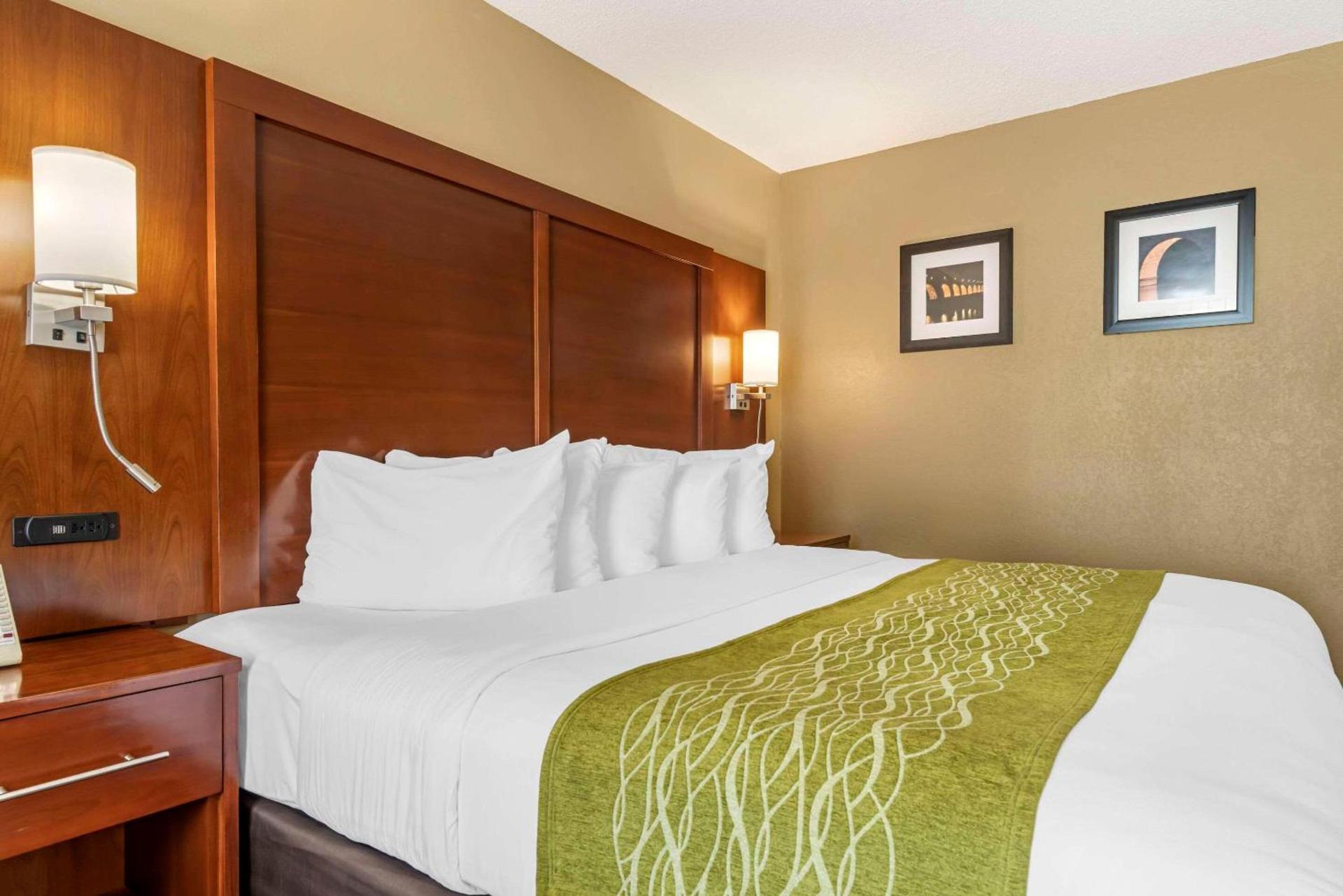 Comfort Inn MSP Airport - Mall of America photo 23