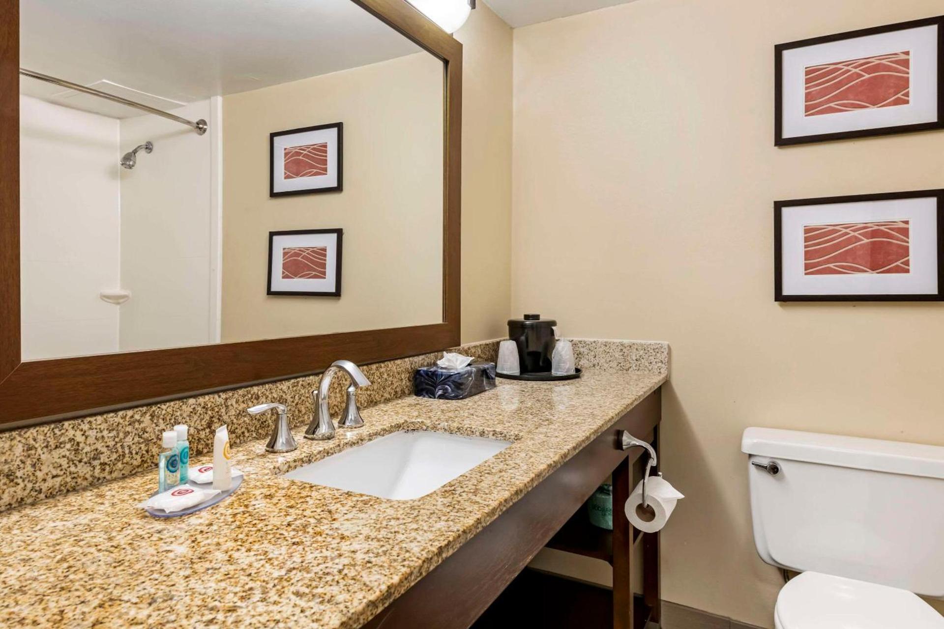Comfort Inn MSP Airport - Mall of America photo 19