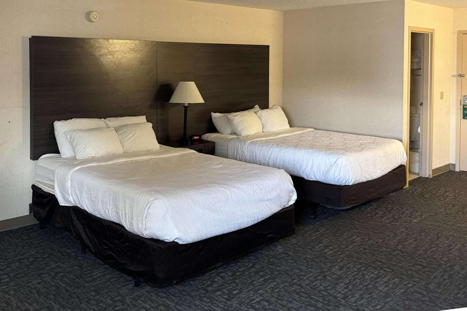 Quality Inn Spearfish I-90 photo 8