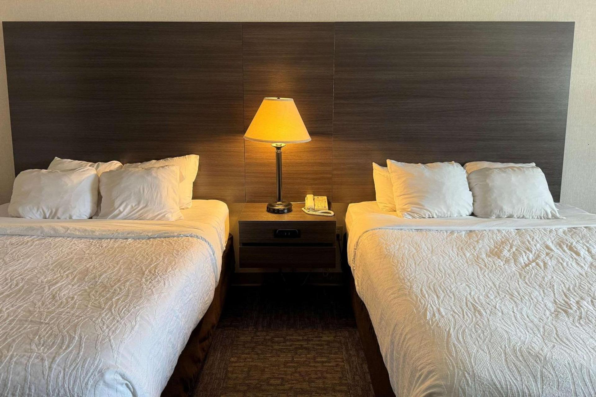 Quality Inn Spearfish I-90 photo 17