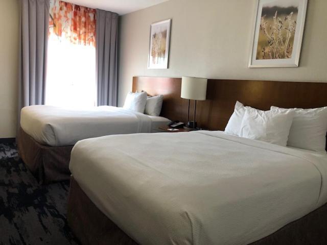 Fairfield Inn & Suites Houston Hobby Airport photo 17