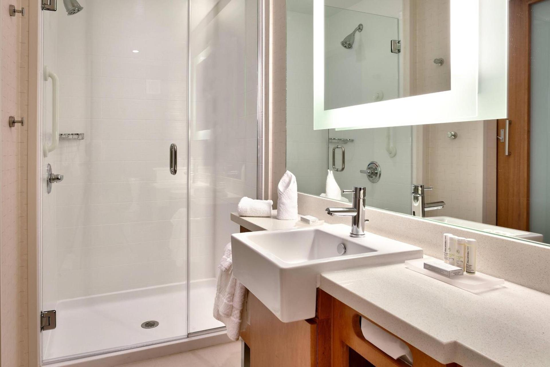 SpringHill Suites by Marriott Houston I-45 North photo 6