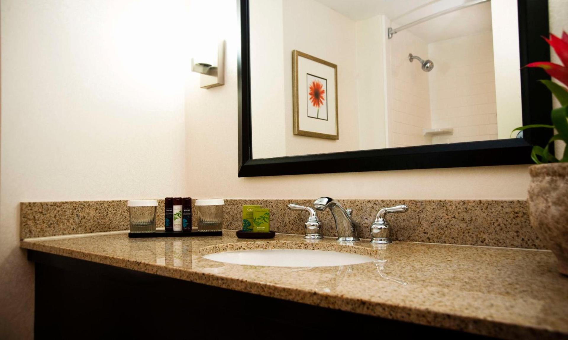 Embassy Suites by Hilton Memphis East Germantown Area photo 44