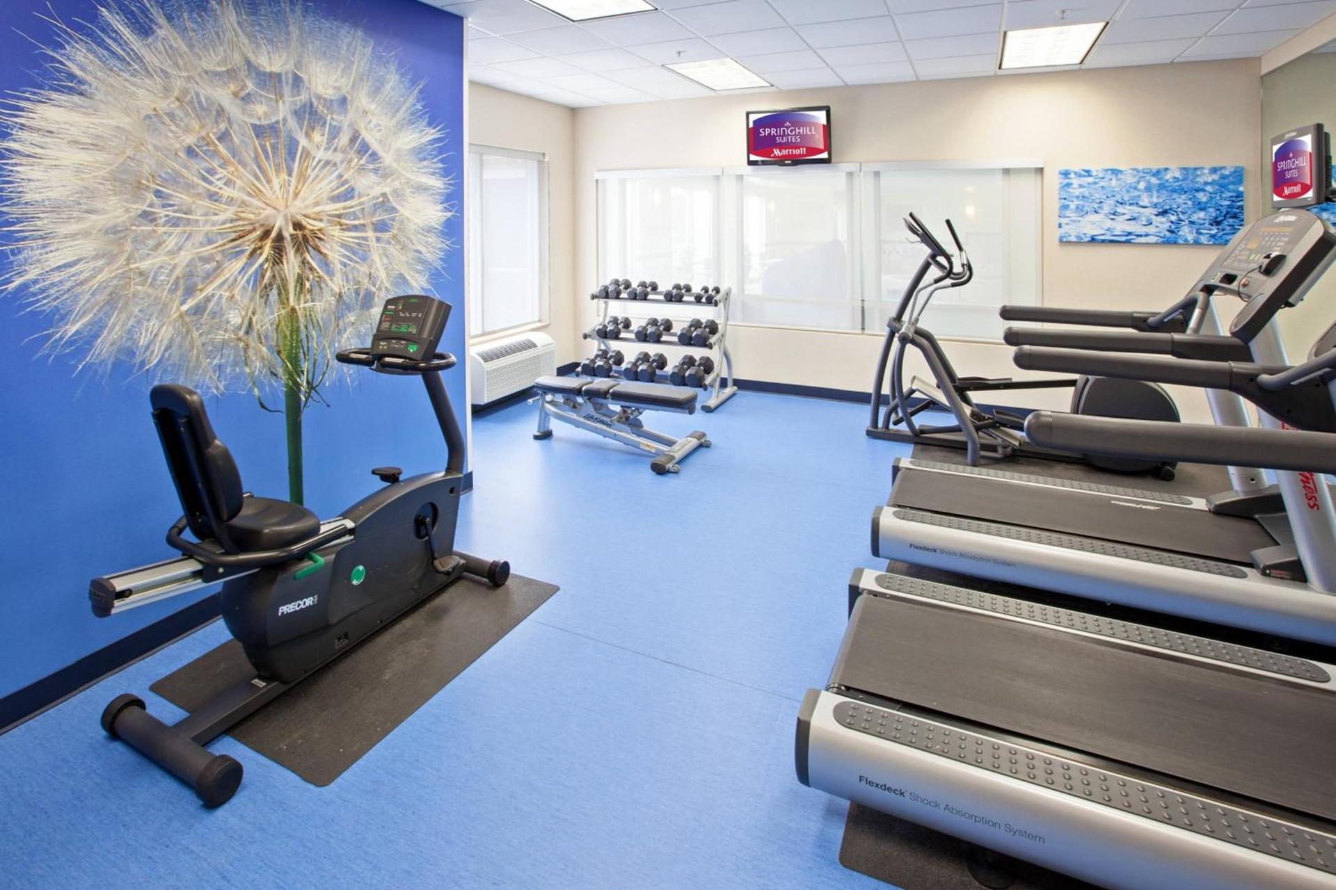 SpringHill Suites Indianapolis Carmel photo 18