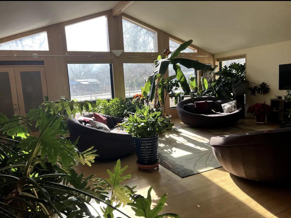 Energy-Efficient Oasis Cozy Near DT Boulder and trails photo 11