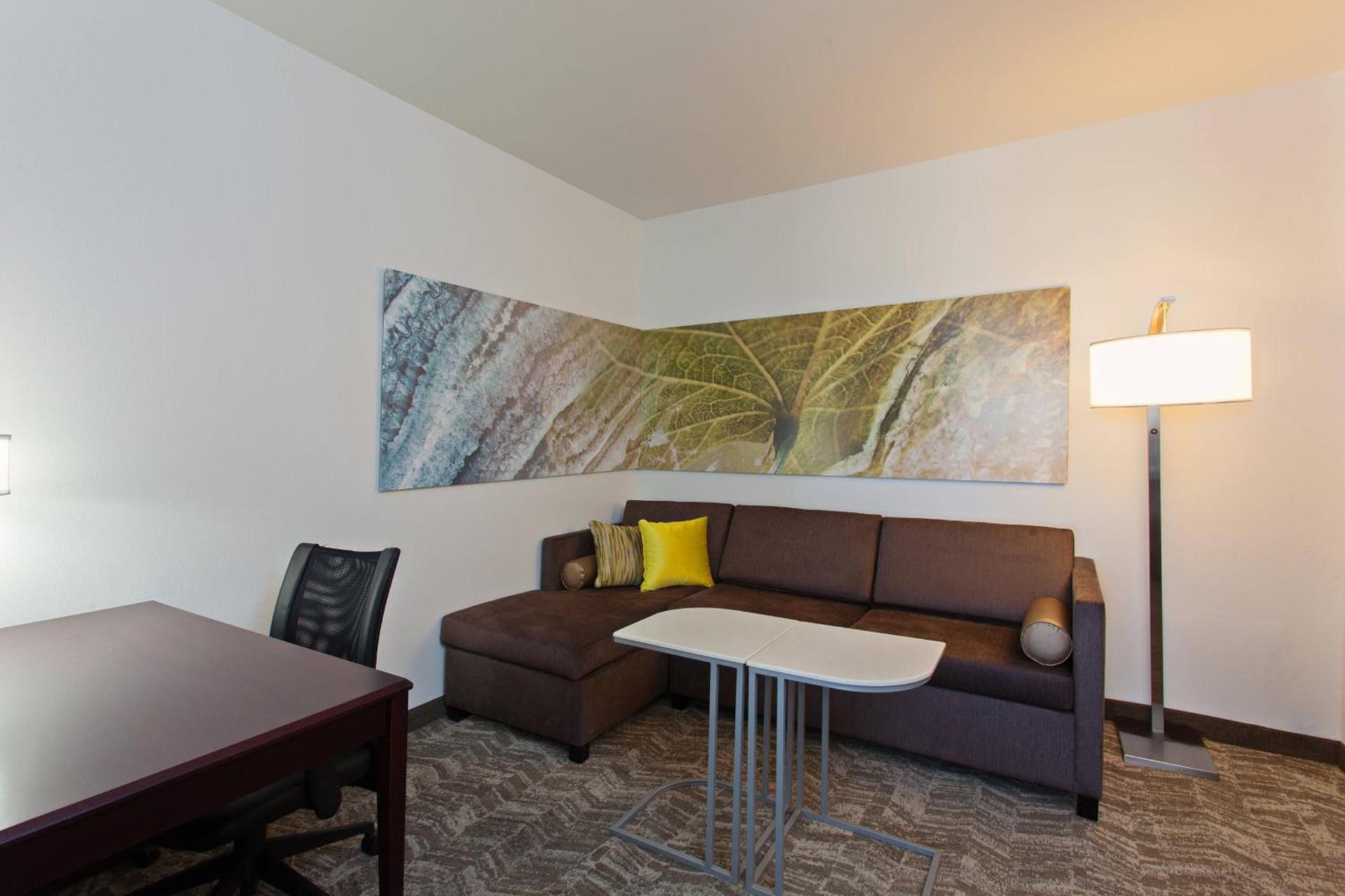 SpringHill Suites by Marriott El Paso photo 8