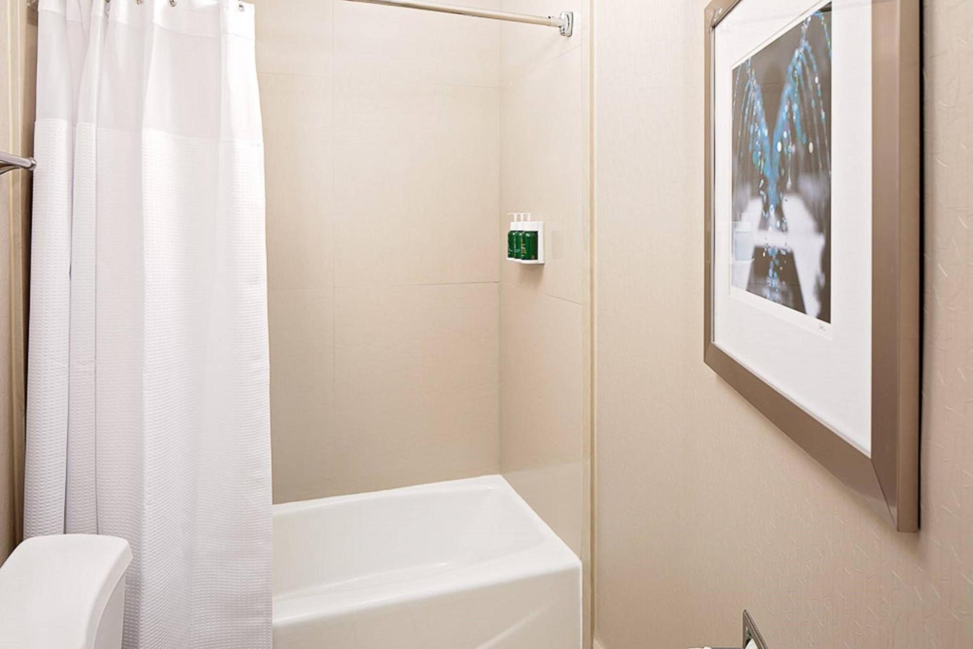 SpringHill Suites by Marriott El Paso photo 14