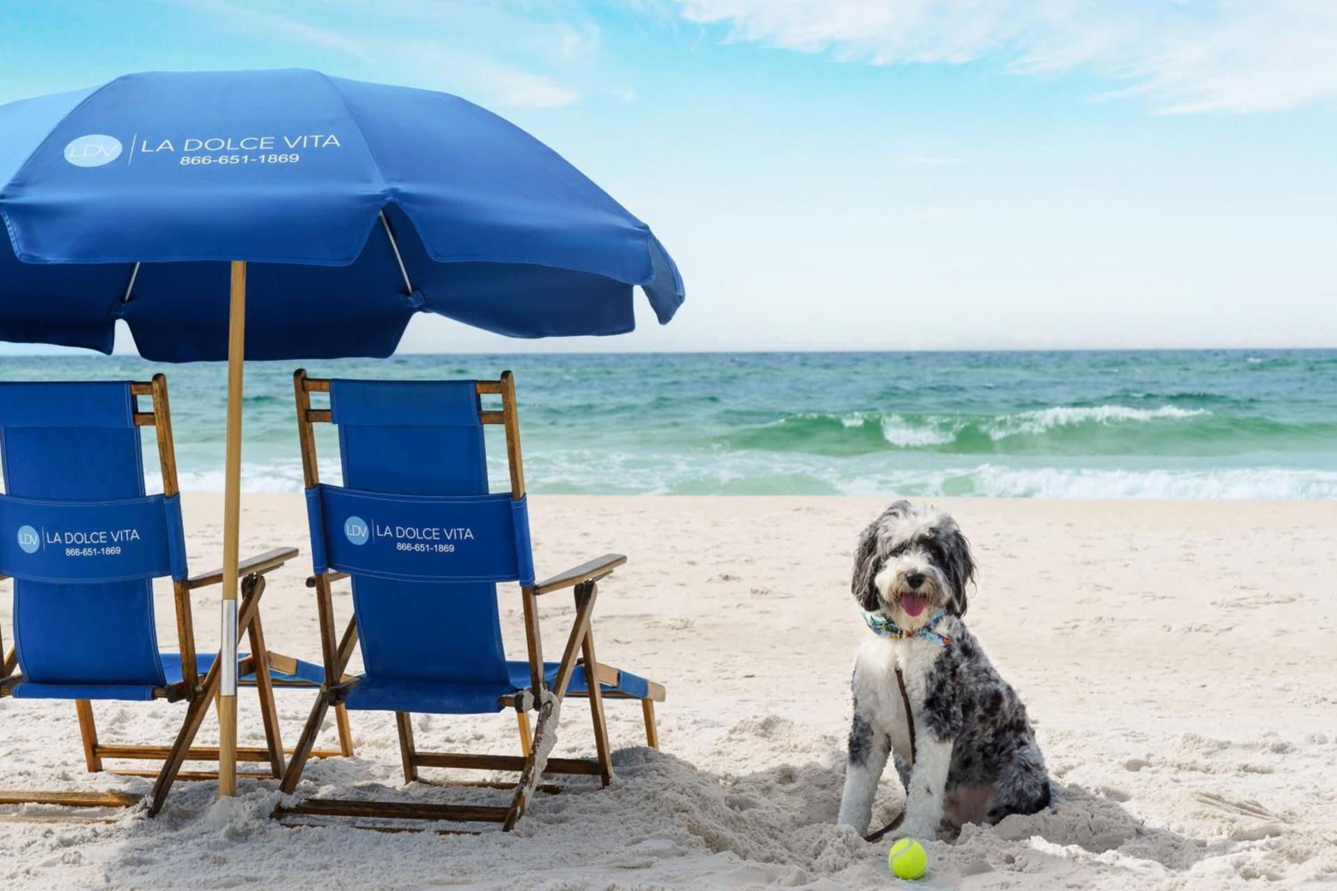 Four Points by Sheraton Destin - Fort Walton Beach photo 63