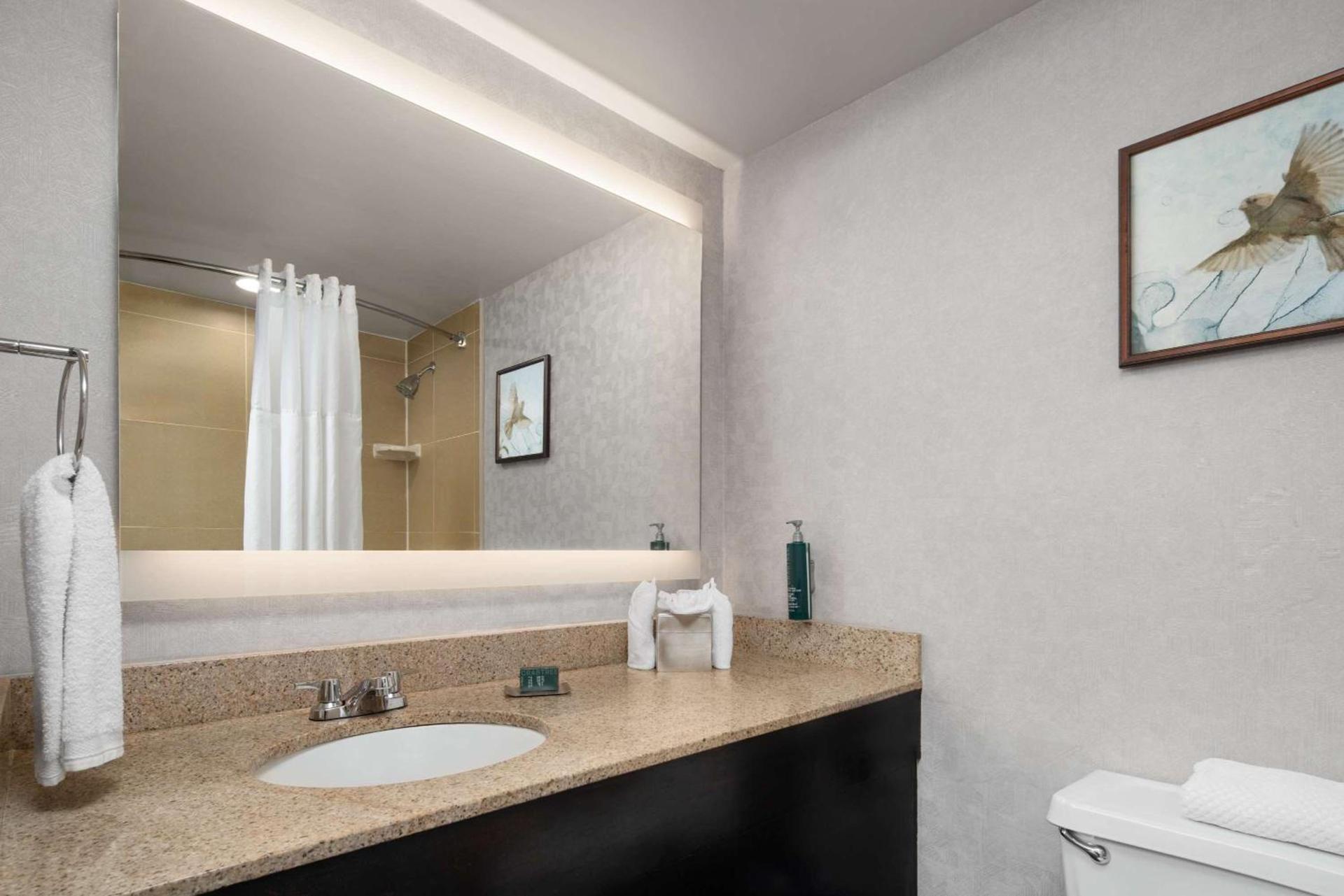 DoubleTree by Hilton Bradley International Airport photo 15