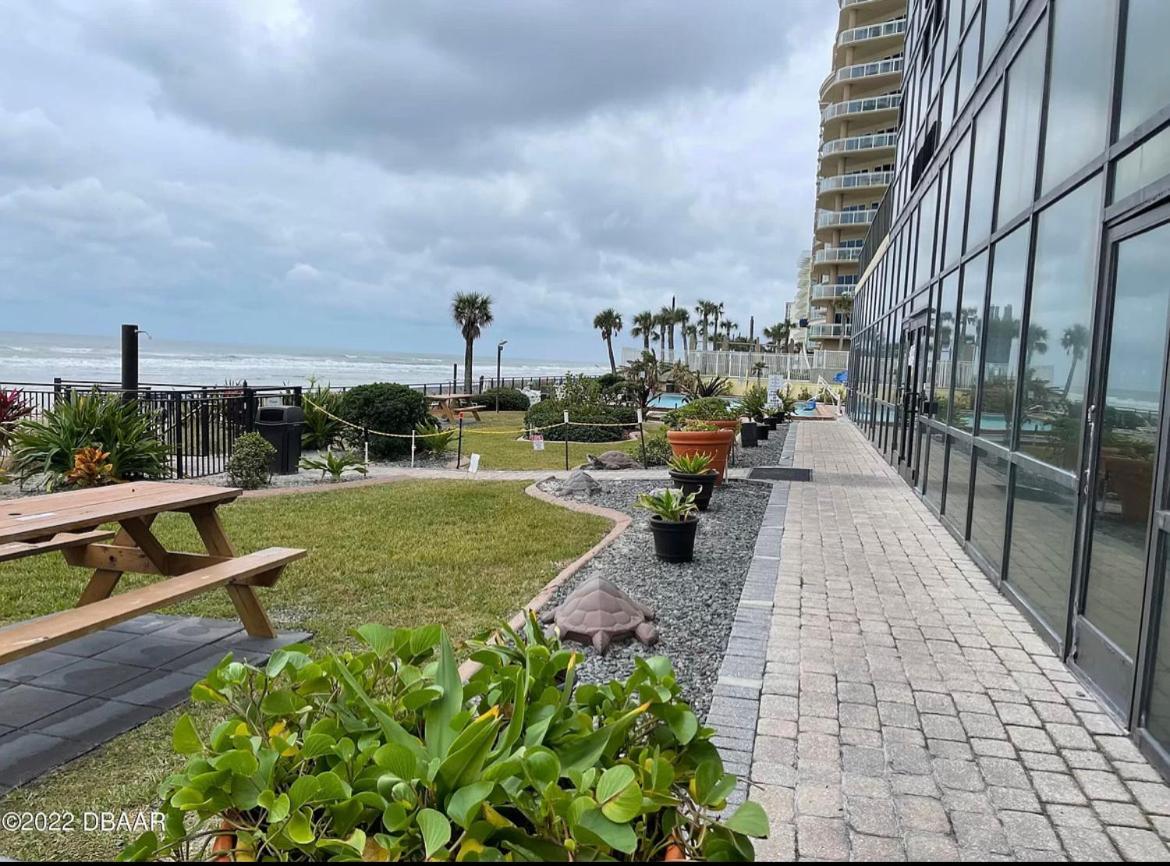 Single, Double or Quad Oceanview Studios - Direct Beach Access, Oceanfront Pool & Tiki photo 6
