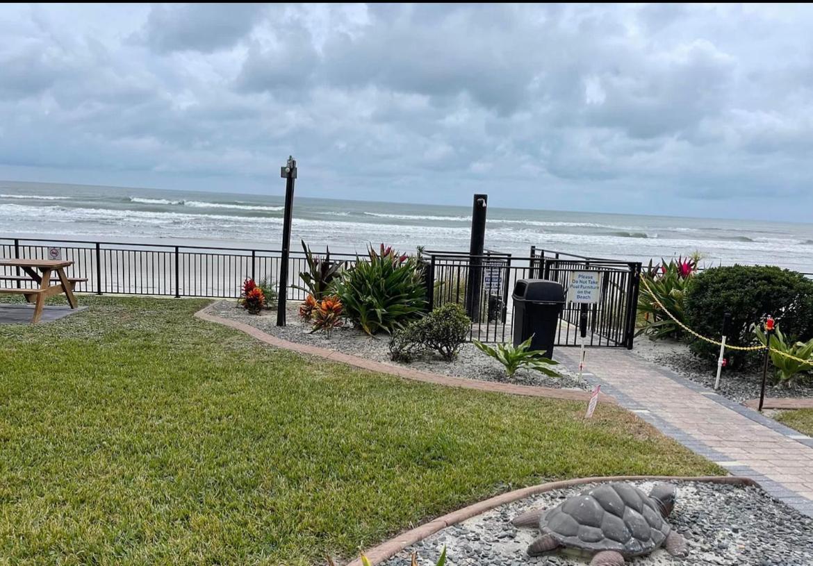 Single, Double or Quad Oceanview Studios - Direct Beach Access, Oceanfront Pool & Tiki photo 7