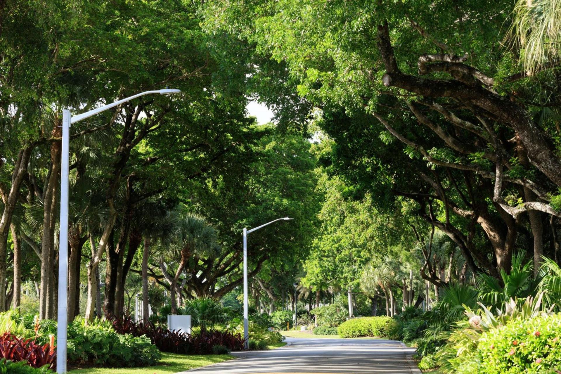 The Westin Fort Lauderdale photo 13