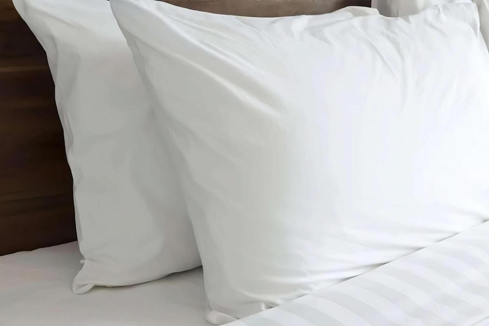 Sonesta ES Suites Raleigh Cary photo 27