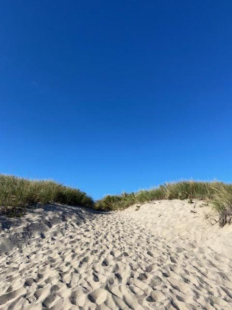 Ocean Vista Resort photo 19