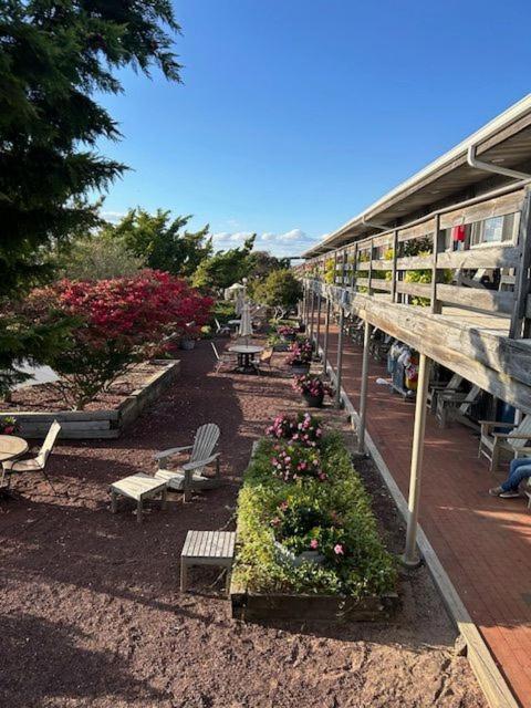 Ocean Vista Resort photo 24