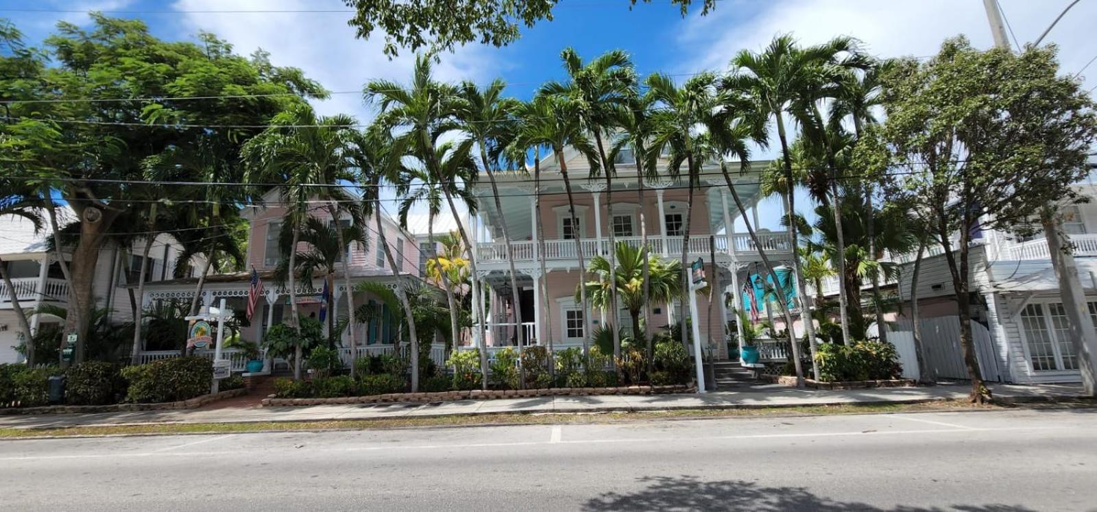The Palms Hotel photo 3