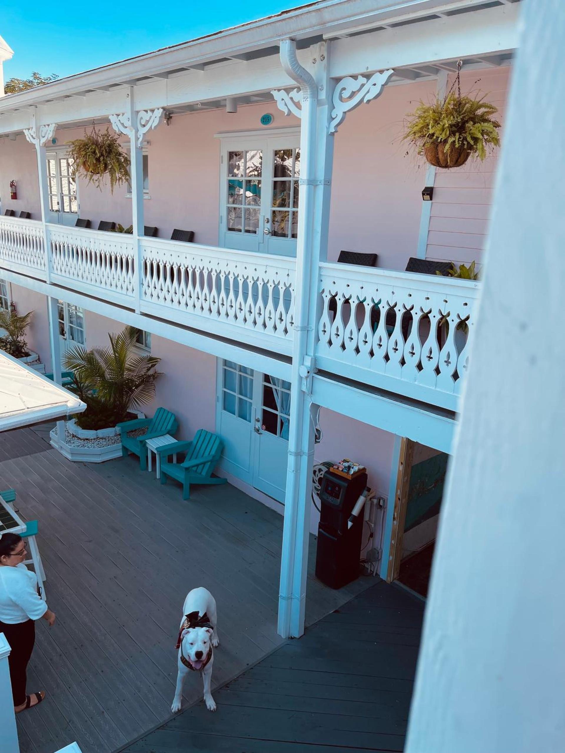 The Palms Hotel photo 12