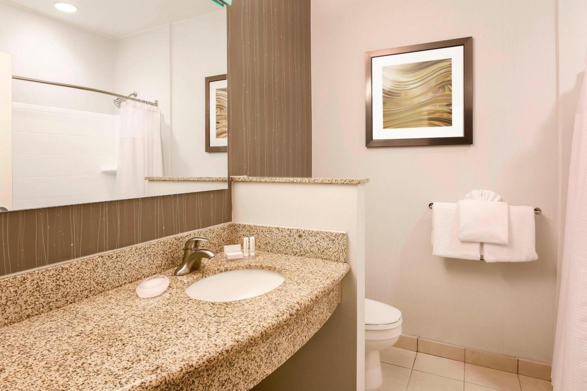Courtyard by Marriott Dallas Arlington South photo 13