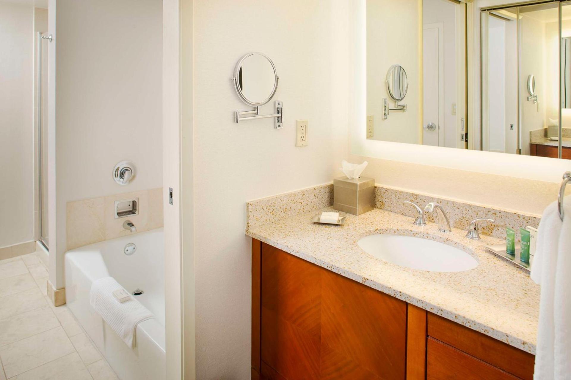 Wyndham Atlanta Perimeter photo 15