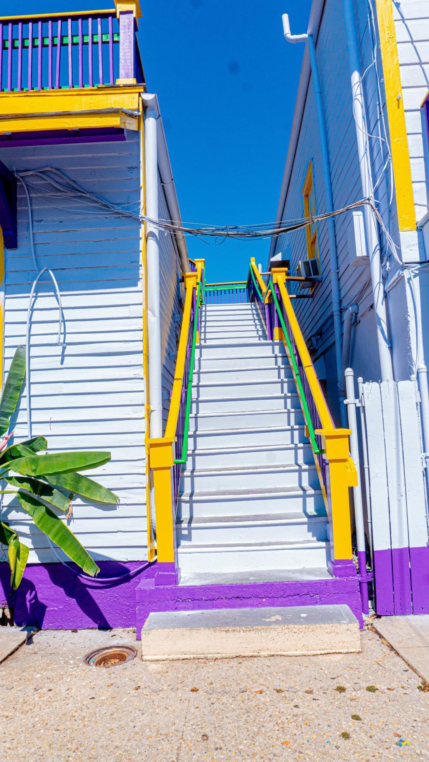 Historic Mardi Gras Inn photo 13