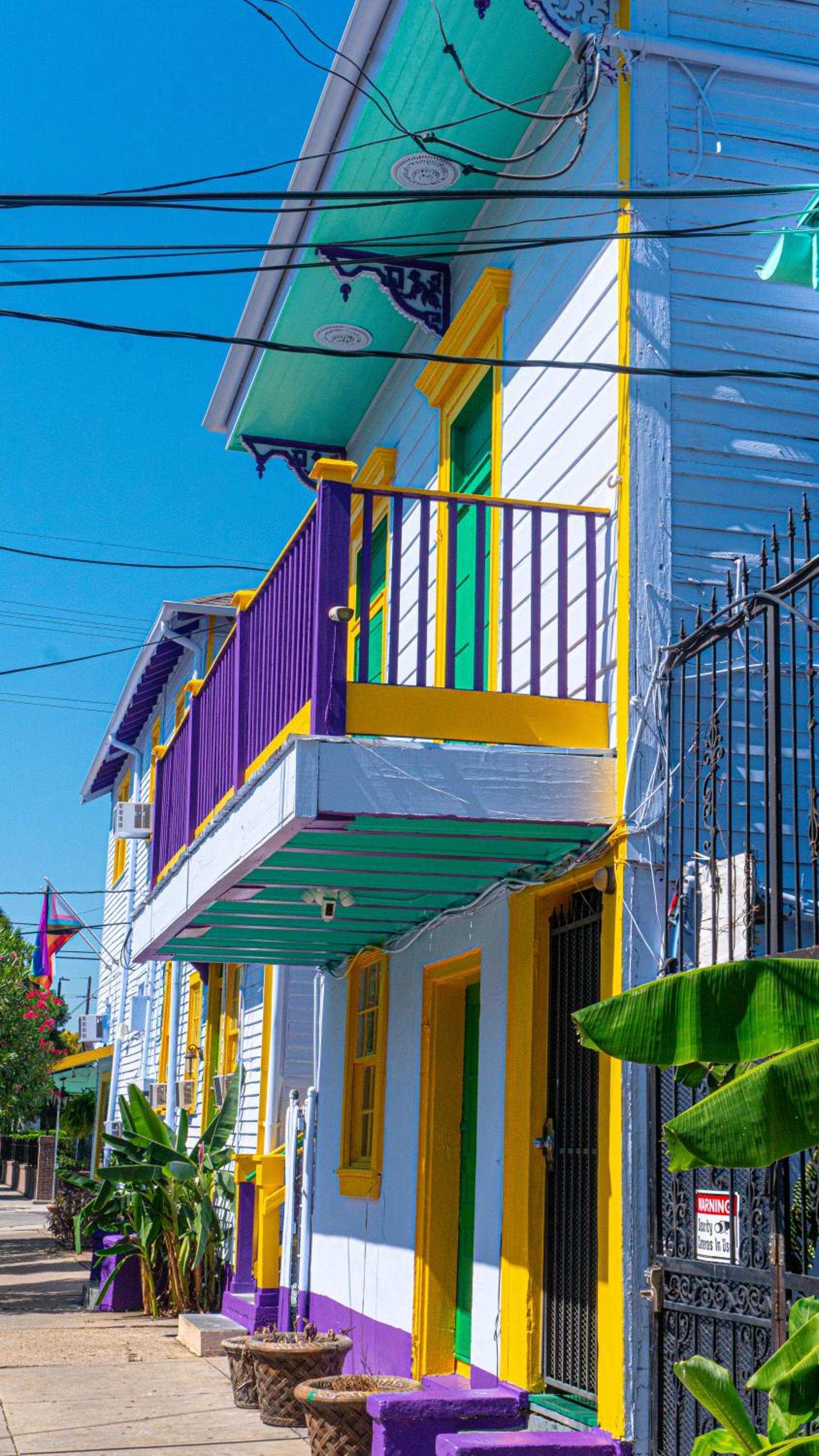 Historic Mardi Gras Inn photo 12