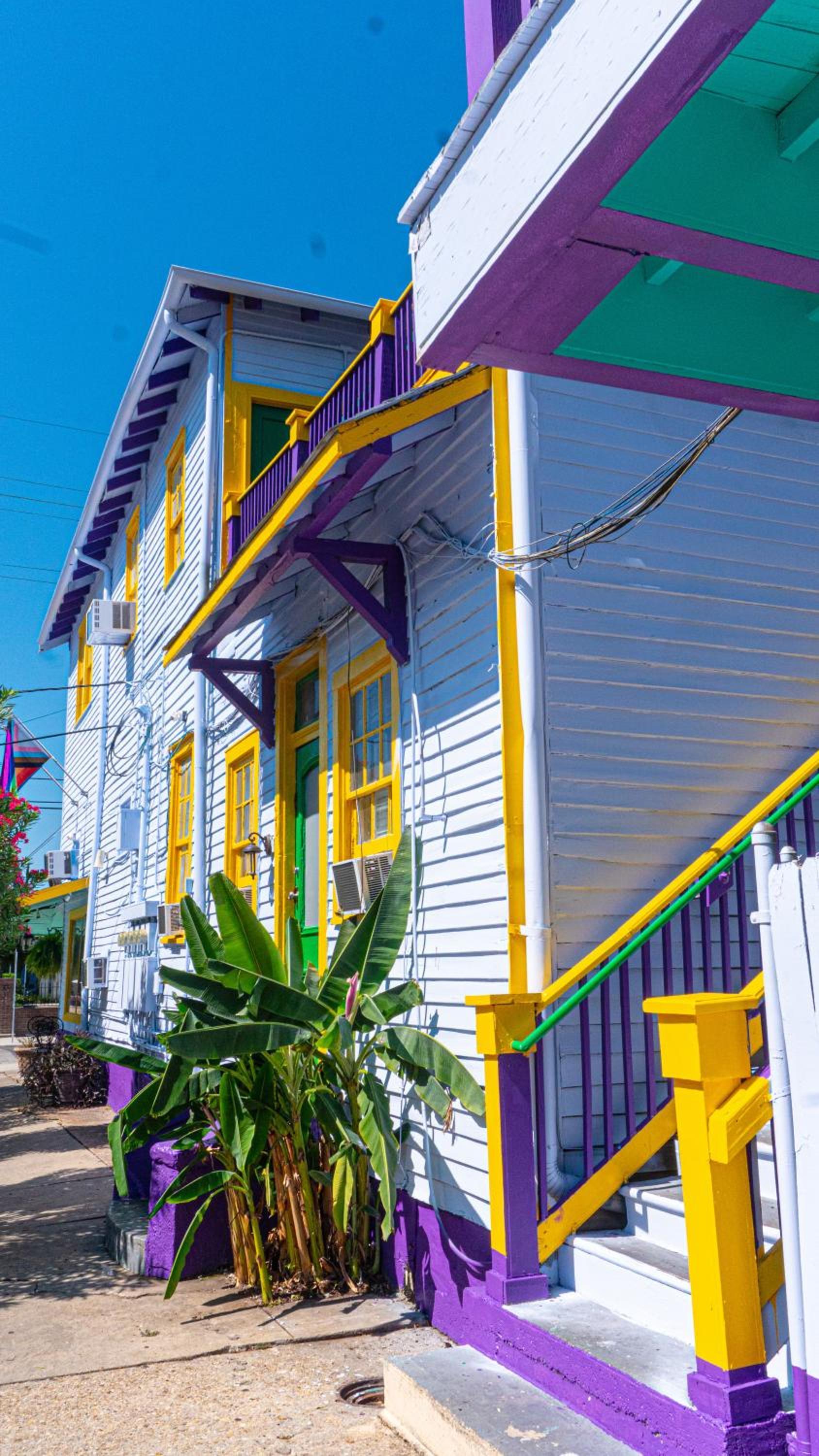 Historic Mardi Gras Inn photo 11