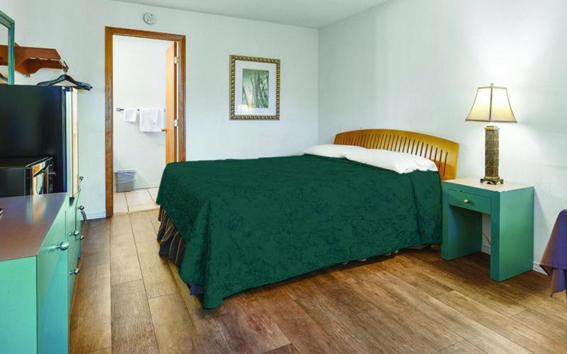 Shelton Inn photo 11