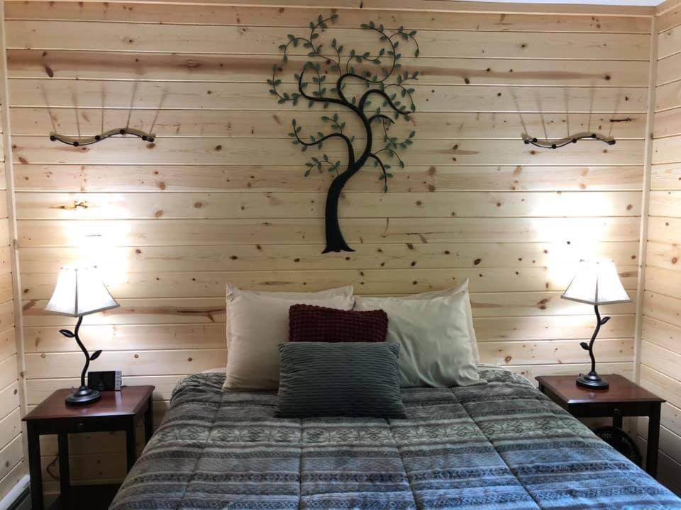 Backwoods Cabins at Susitna River Lodge photo 11
