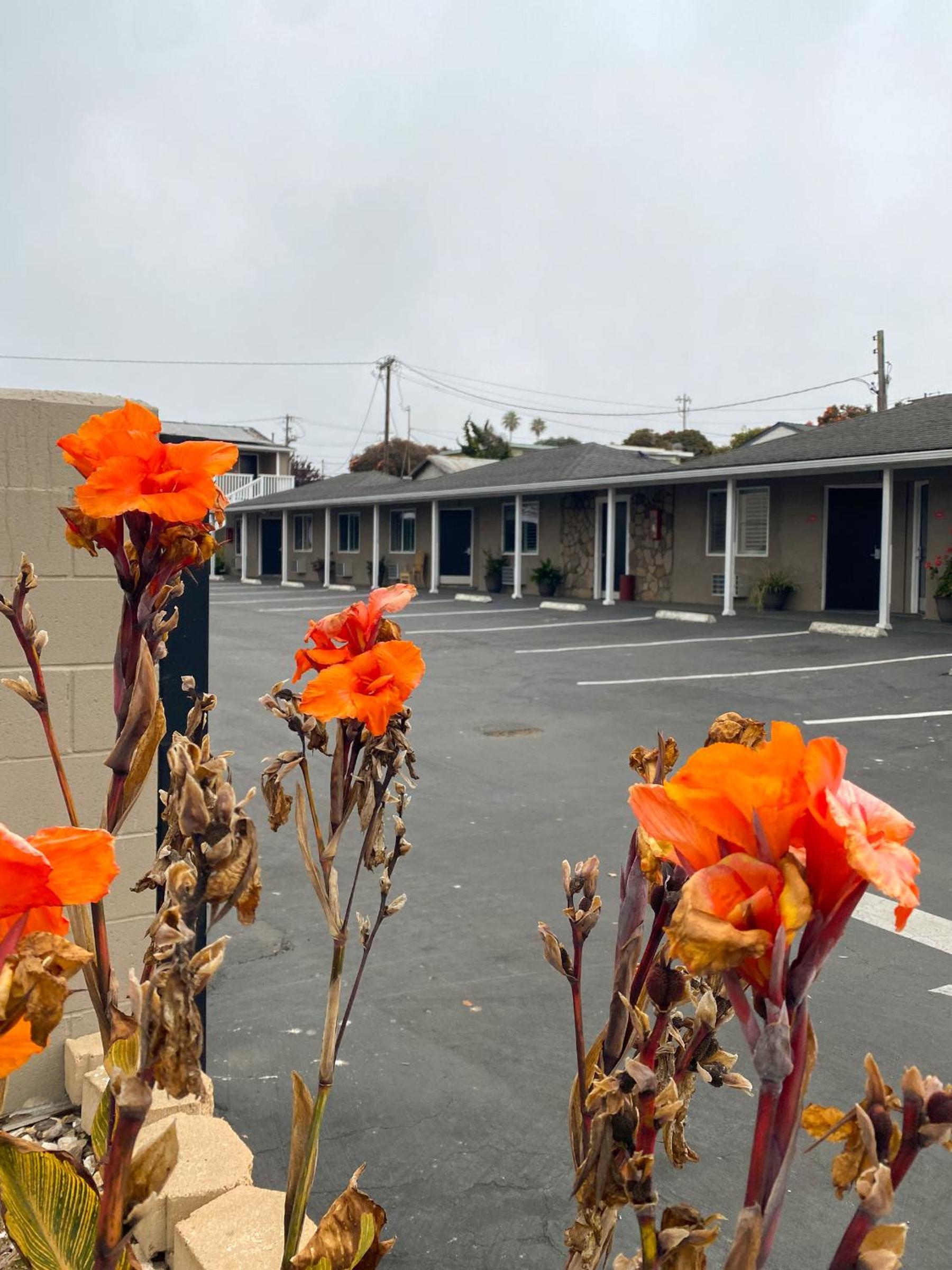 Rockview Inn and Suites - Morro Bay CA photo 34