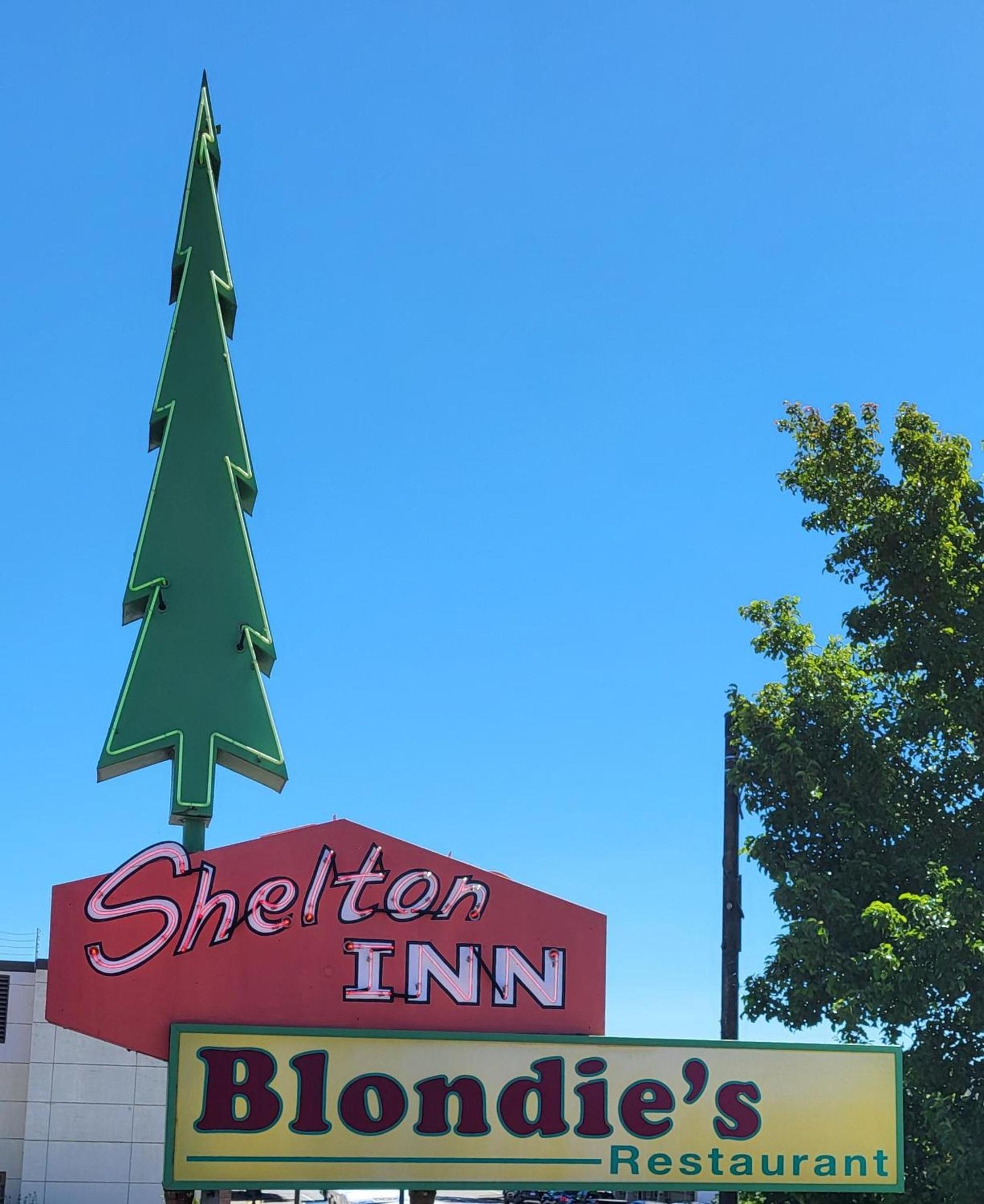 Shelton Inn photo 6