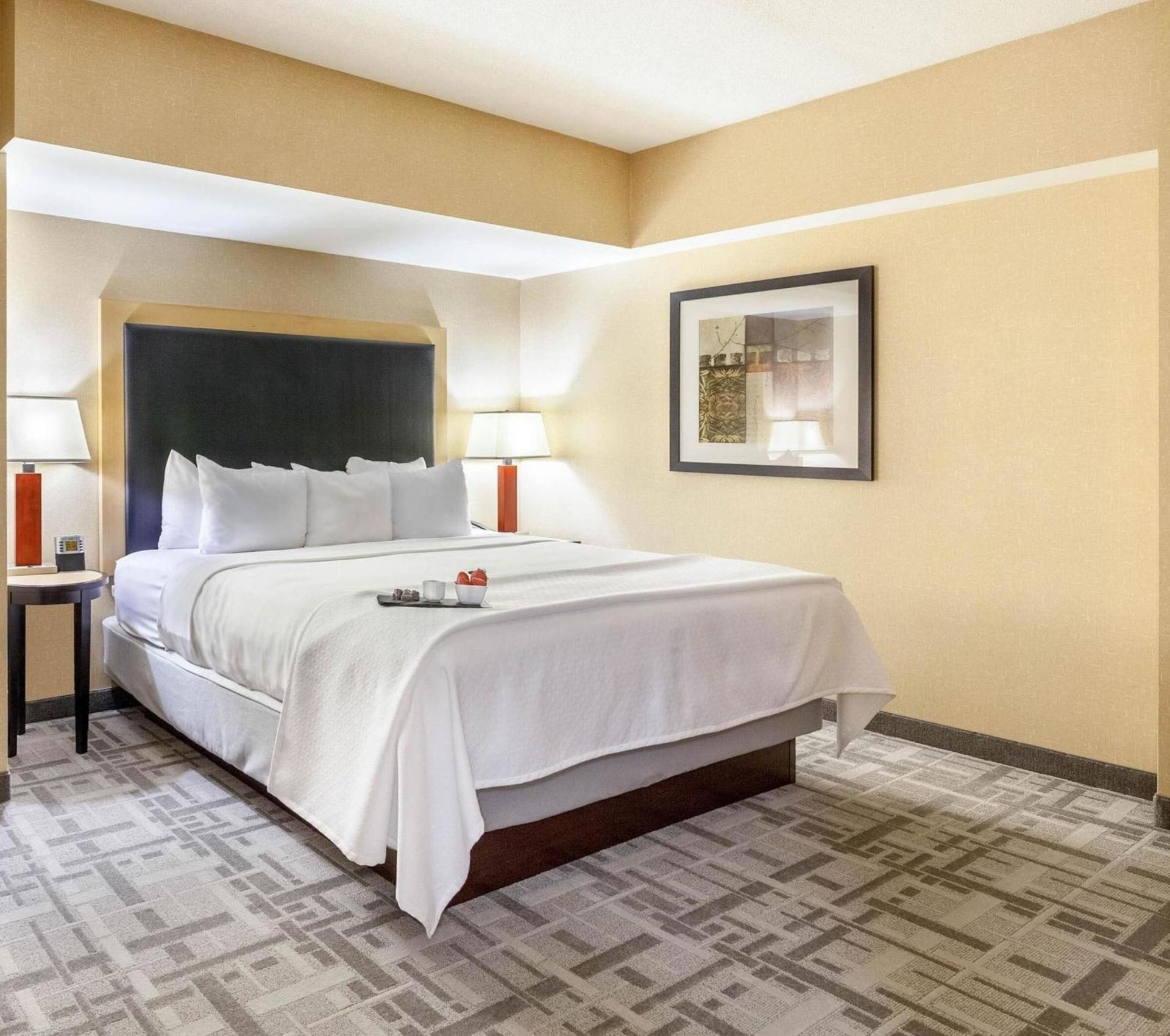 Cambria Hotel Pittsburgh - Downtown photo 51