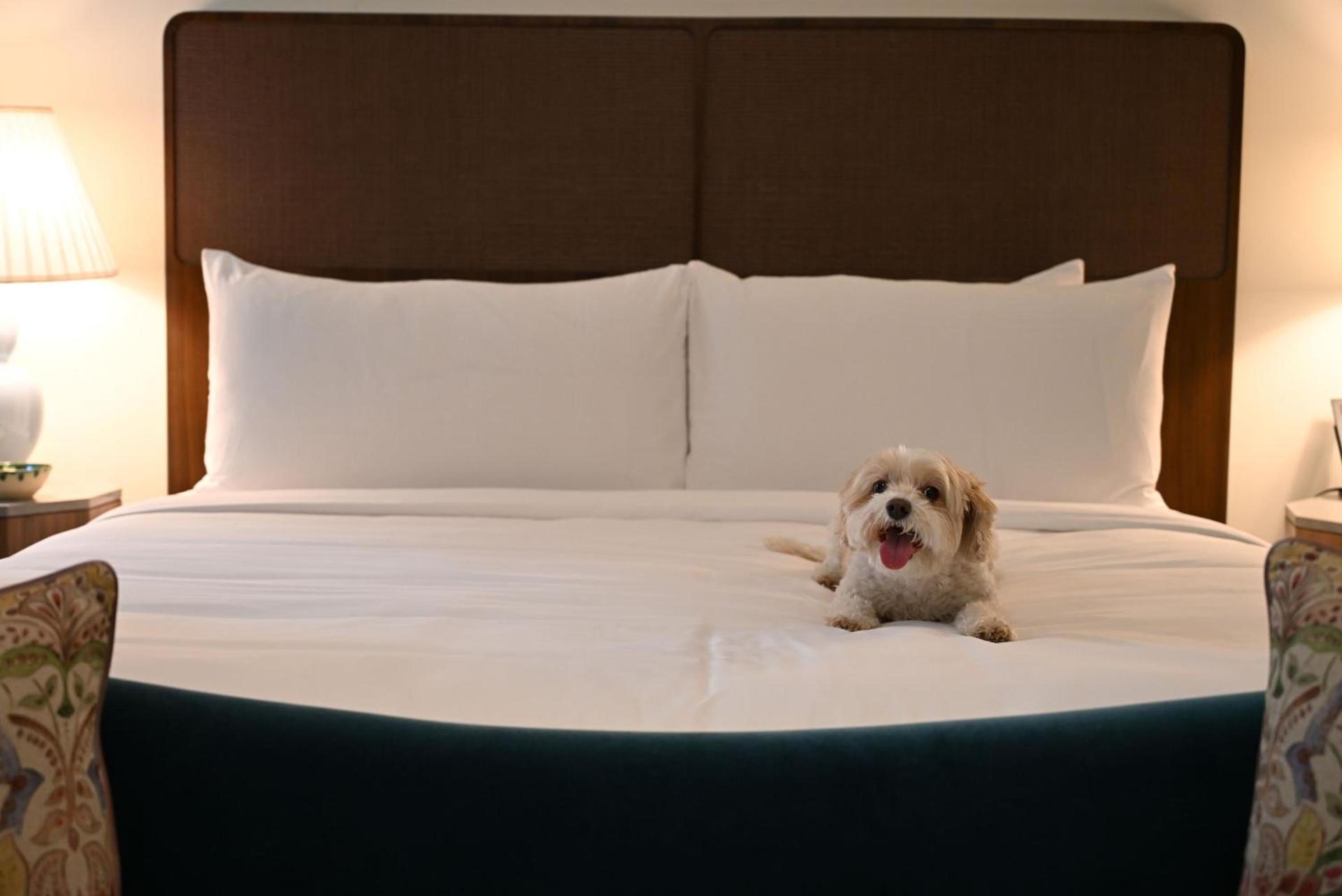 Hotel Granada, a Member of Design Hotels photo 22