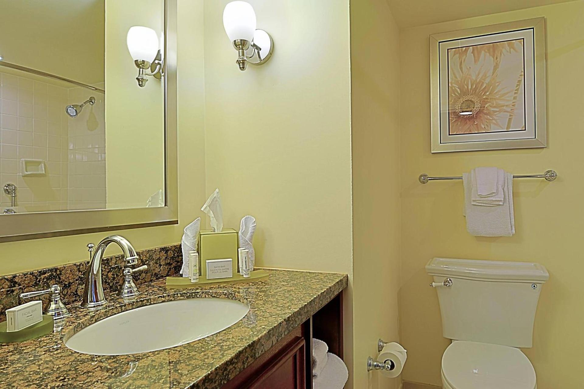 Courtyard by Marriott Bradenton Sarasota/Riverfront photo 14