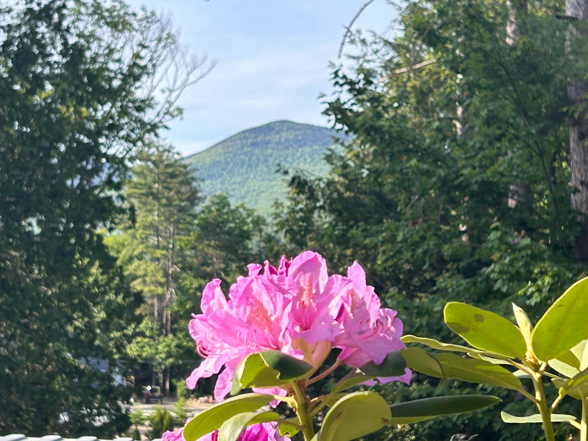 The Aurora Inn & Cottages photo 22