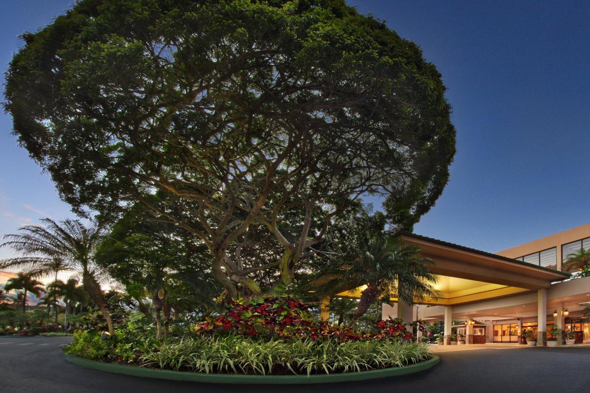 Marriott's Maui Ocean Club - Molokai, Maui & Lanai Towers photo 5