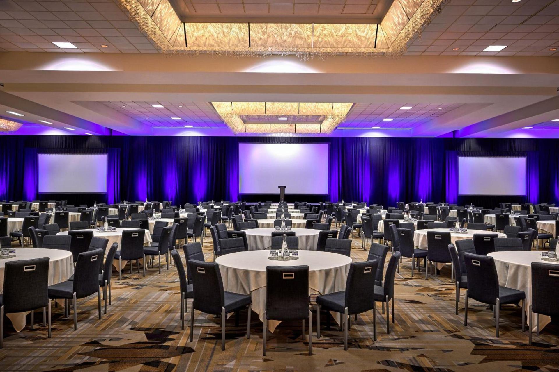 Anaheim Marriott photo 80