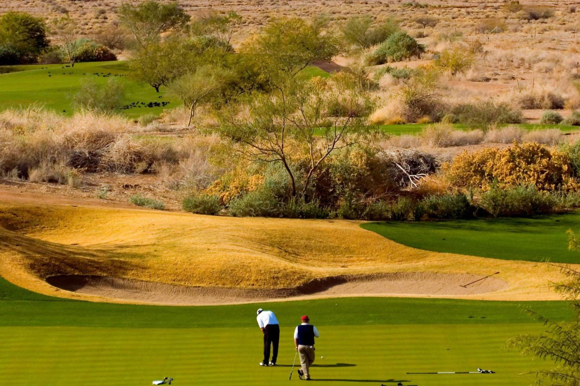 Sheraton Grand at Wild Horse Pass photo 98